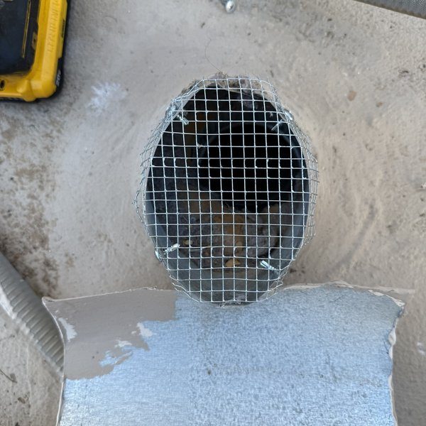 Wire mesh exclusion fitted over a wall opening during a general pest treatment.